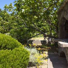 Apartments Adriana Klenovica