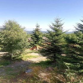 Casa Fresh Sântimbru-Băi