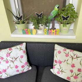 Zöld Éden Kabin Makó