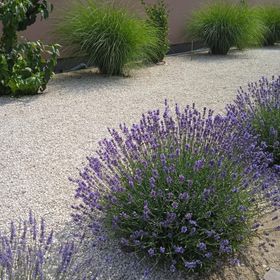 Flamingo Apartman Sümeg