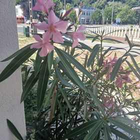 Hűvös Apartman Balatonboglár