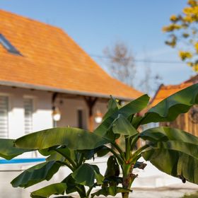 Akácos Tanya Vendégház Szarvas 