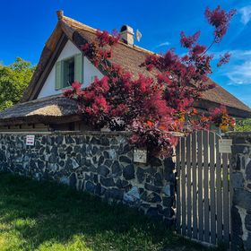 Zanzara Guesthouse Pákozd
