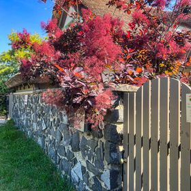 Zanzara Guesthouse Pákozd