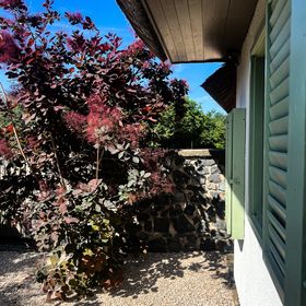 Zanzara Guesthouse Pákozd