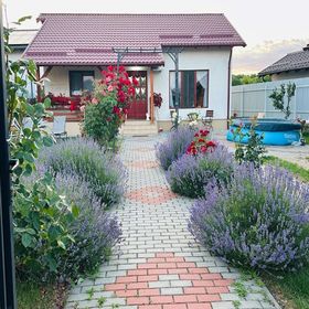 Casa de vacanță Mountain View House Brașov
