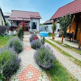 Casa de vacanță Mountain View House Brașov