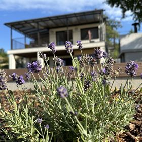 Csipetnyi Chill Vendégház Óbudavár