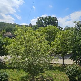 Mecseki Termálház Magyarhertelend