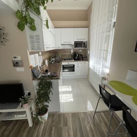 Green Island in the Dowtown Debrecen