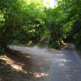 Hegyi Tücsök Vendégház Badacsonytördemic