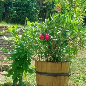 Casa Georgio Vendégház Szentgyörgyvár