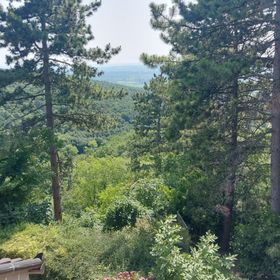 Elisa Rezi-Dencia Apartman Rezi