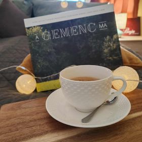 Gemenc-Lak Vendégház Baja