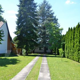 Dinnyelaposi Nyaraló 31. Békésszentandrás