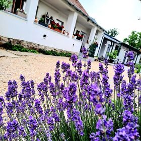 Gera Apartman Velence