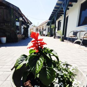 Gera Apartman Velence