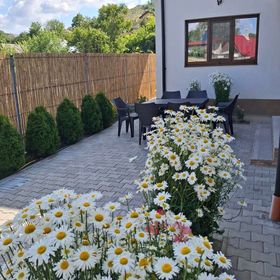 Casa Iulian Mahmudia 