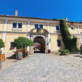 KNÍŽECÍ APARTMÁNY REGENT 