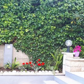 Apartment Apartment Yellow Baska Voda