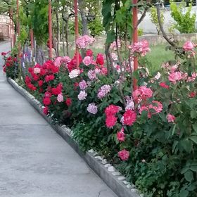 Apartments Poldan Supetarska Draga