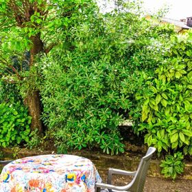 Apartment Volosko for two Opatija