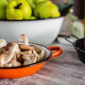 Erdőszéli Házikó Baja