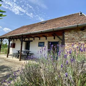 Zengő Vendégház Borgáta