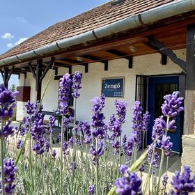 Zengő Vendégház Borgáta