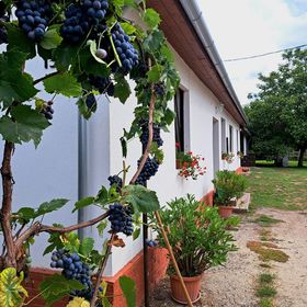 Patakparty Lak Szilvásvárad