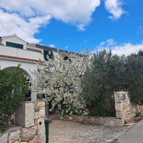 Apartment Julia Jezera