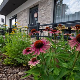 Négy Évszak Apartmanház Gyula