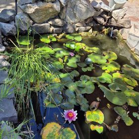 Tavirózsa Vendégház Szentes