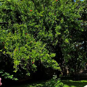 Apartments Seagreen Villas Novi Vinodolski