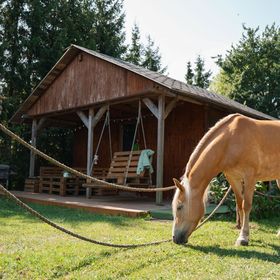 Domek na Ranczo Gniezno