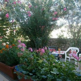 Apartmanok Parkolóhellyel Privlaka, Zadar - 24002 Privlaka