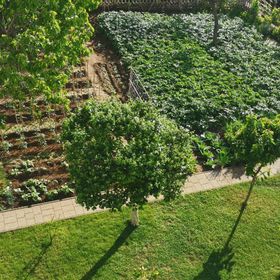 Apartmanok Parkolóhellyel Lopar, Rab - 24156 Lopar