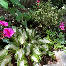 Apartmanok Parkolóhellyel Jadranovo, Crikvenica - 24210 Jadranovo