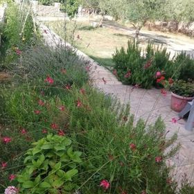 Apartmanok A Tenger Mellett Tkon, Pasman - 24280 Tkon