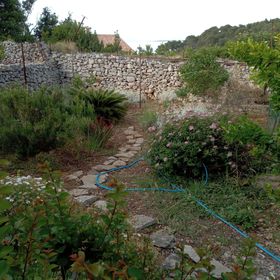 Apartmanok A Tenger Mellett Veli Losinj, Losinj - 24371 Veli Lošinj