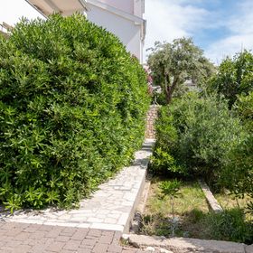 Apartmanok A Tenger Mellett Pag - 24467