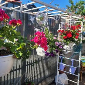 Casa Tanya Vama Veche