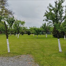 Casa Eden Garden Sovata