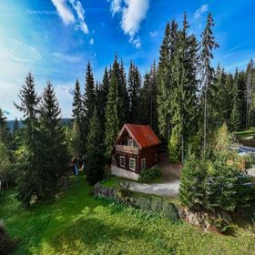 Forest Home Relax Borzont