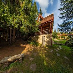 Forest Home Relax Borzont