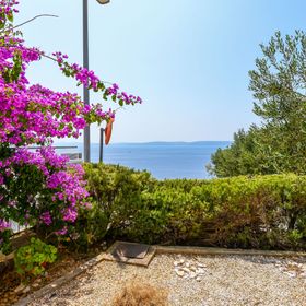 Apartments Vanessa Okrug Gornji