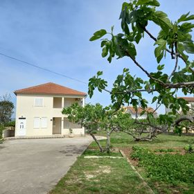 Apartments Tomislav Murter