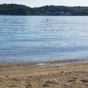 Apartments Hari Supetarska Draga