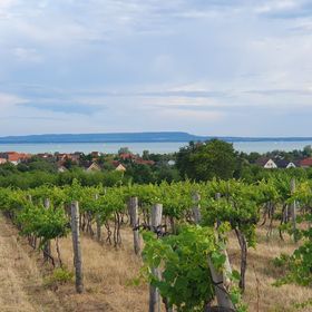 Villakali Balatonakali