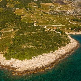 House Dingač Dingac Borak